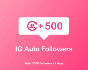 Buy 500 Instagram Followers Subscription